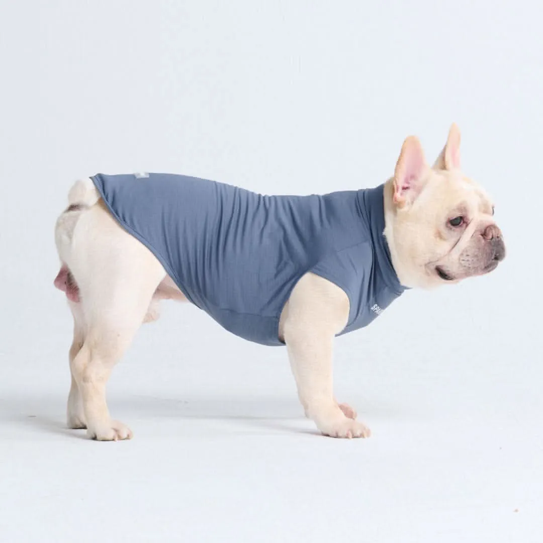 Sunblock Dog T-Shirts