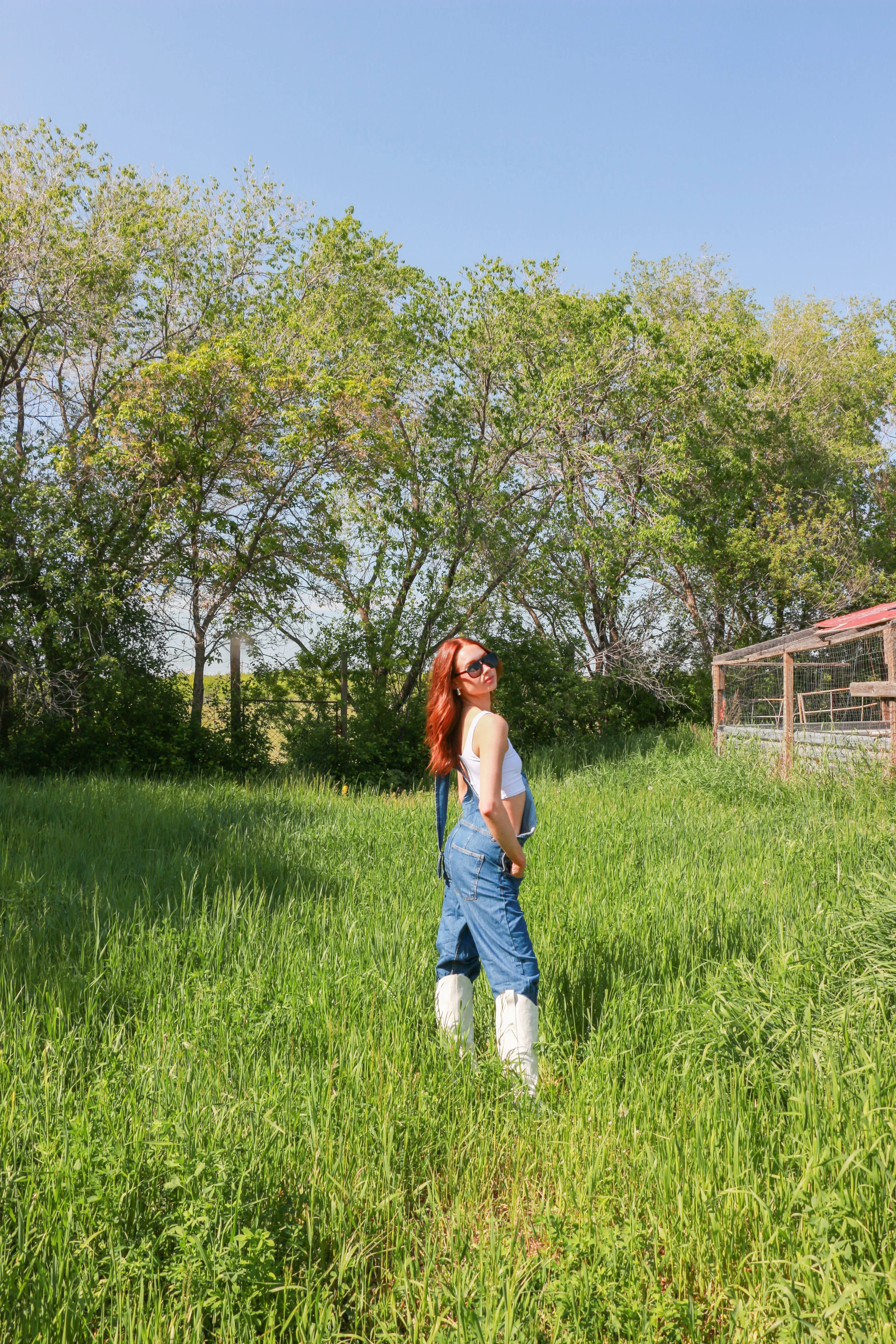 We The Free Ziggy Denim Overalls